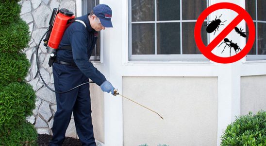 Boztepe Bit İlaçlama böcek ilaçlama ve haşere kontrolü — ilaclama-tr.com